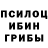 Псилоцибиновые грибы MAGIC MUSHROOMS Ilya Yashin