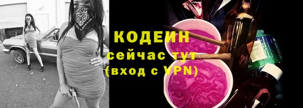 прущие грибы Дмитровск