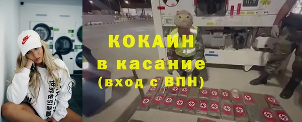прущие грибы Дмитровск