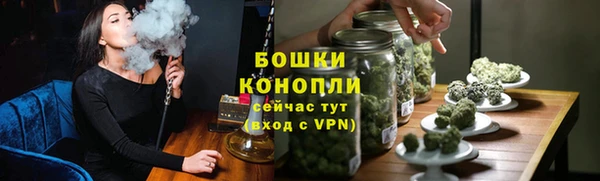 крисы Дмитриев