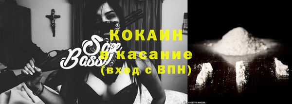 прущие грибы Дмитровск