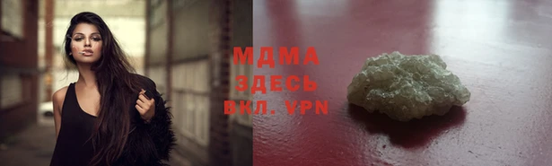 прущие грибы Дмитровск