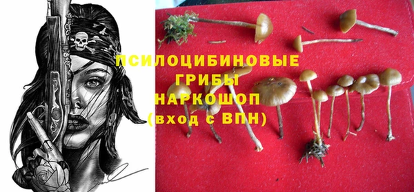 крисы Дмитриев
