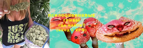 крисы Дмитриев