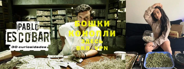крисы Дмитриев