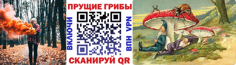 где найти наркотики  Пятигорск  Псилоцибиновые грибы прущие грибы 
